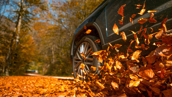 Rainier Automotive's Top Tips for Fall Car Care Month